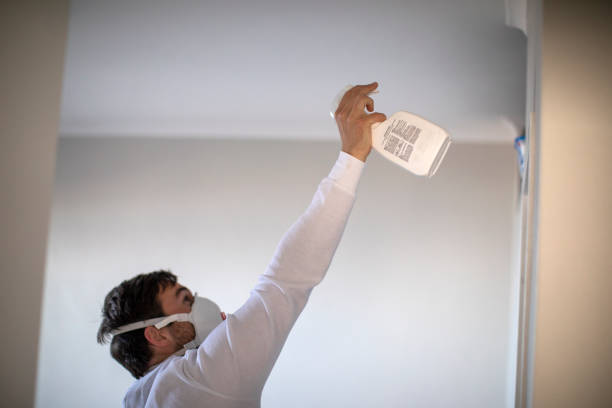 Best Mold Remediation for Schools in Black Rock, NM